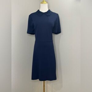 Draper James Navy Dress Lace Collar Size L Fit and Flare Preppy Classic